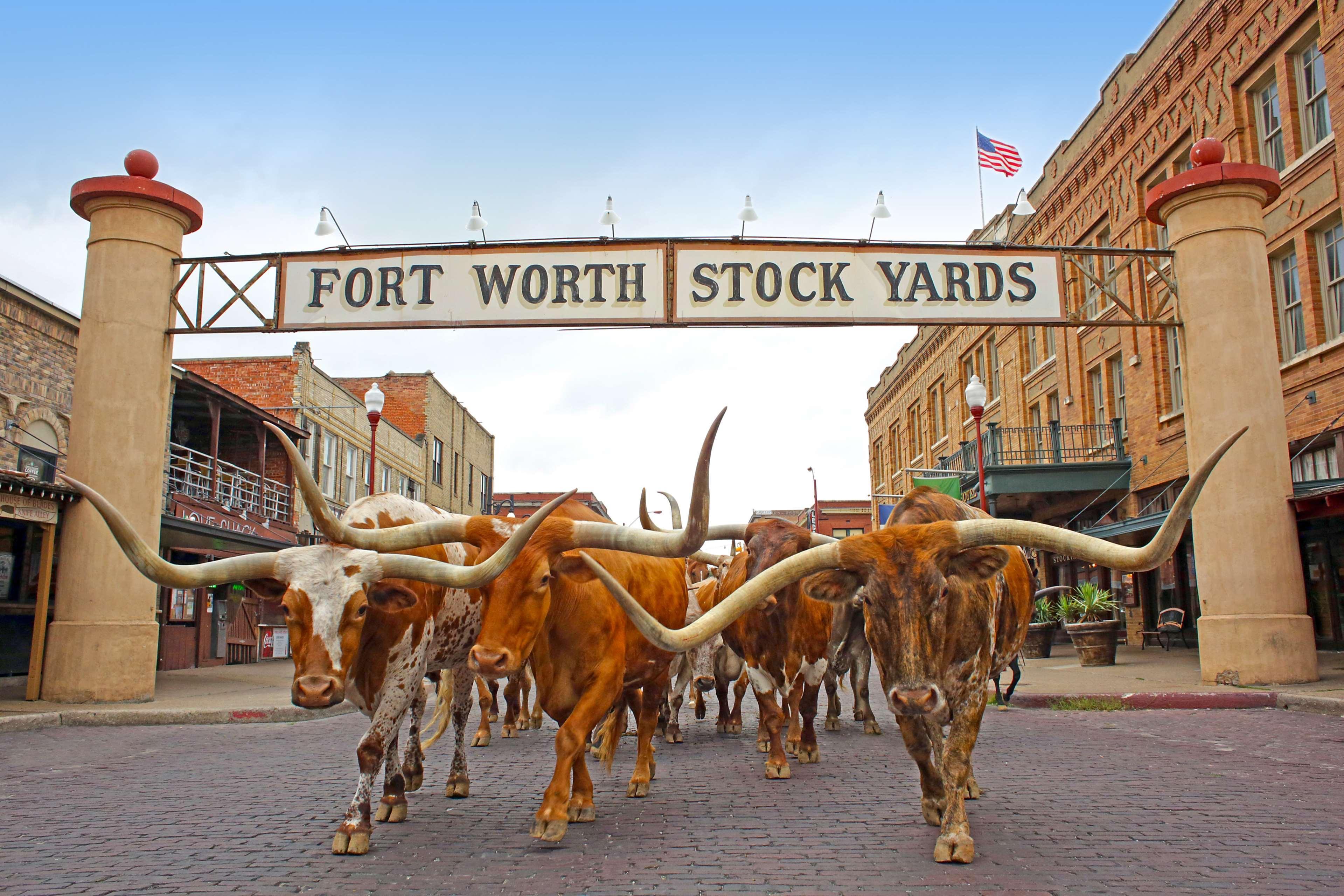 Radisson Hotel Fort Worth North-Fossil Creek Zewnętrze zdjęcie